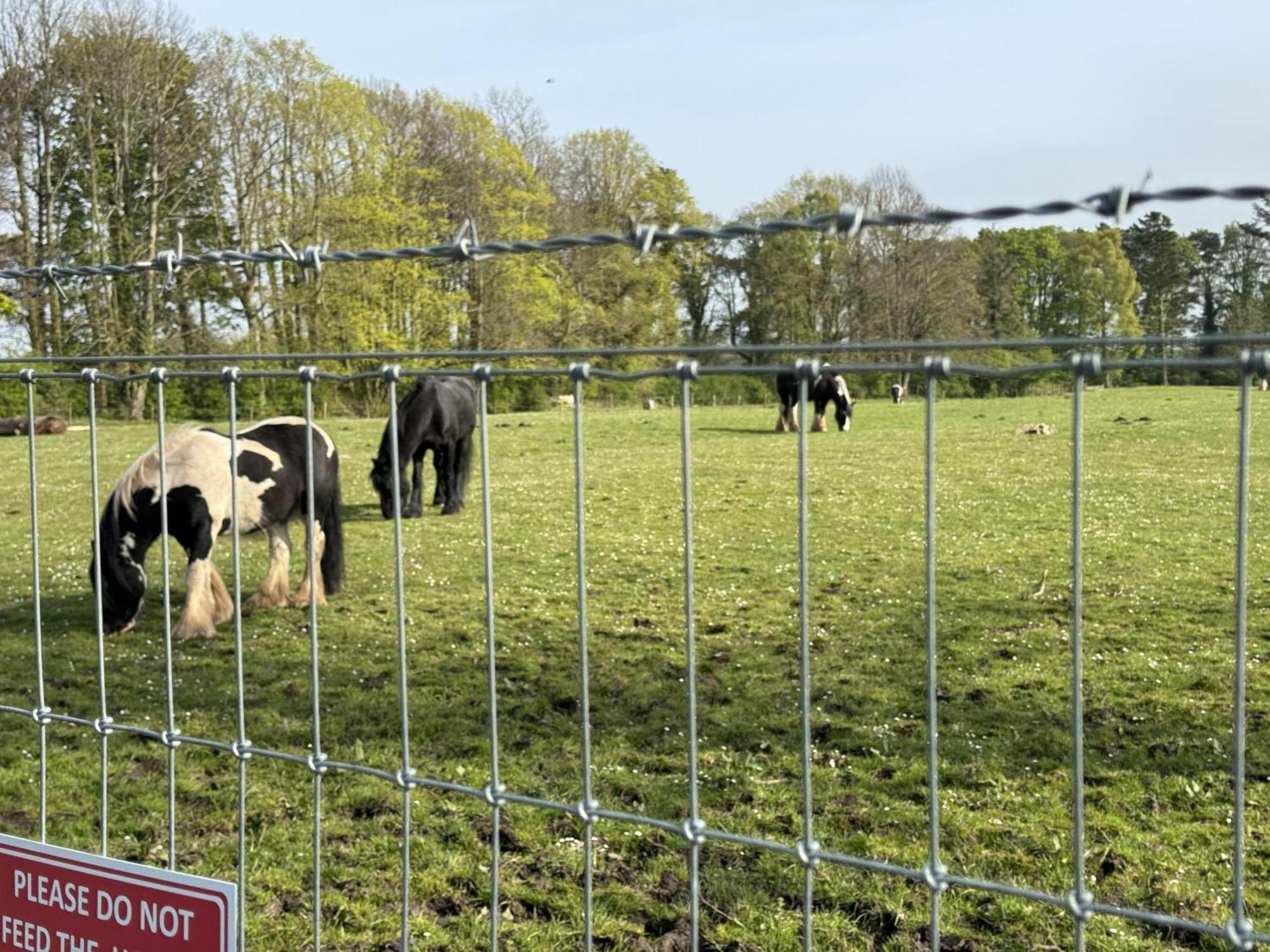 Pony Gate Caravan On Haggerstone Castle West Lawn Berwick Upon Tweed Εξωτερικό φωτογραφία