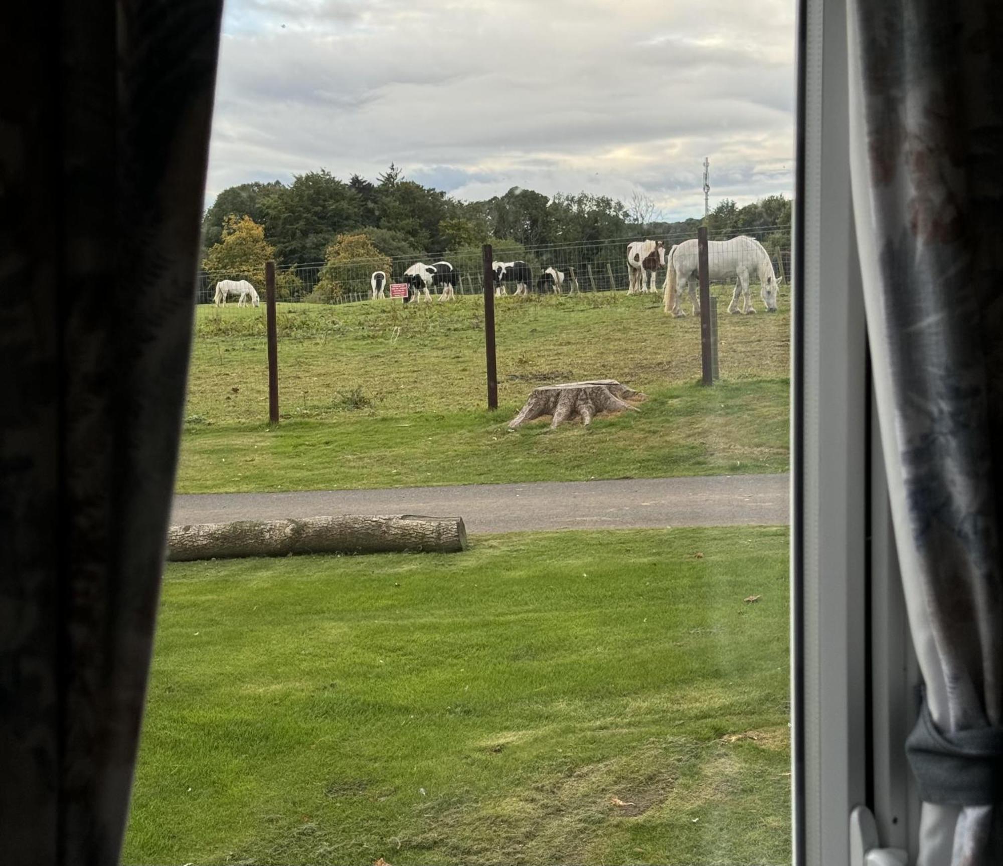 Pony Gate Caravan On Haggerstone Castle West Lawn Berwick Upon Tweed Εξωτερικό φωτογραφία